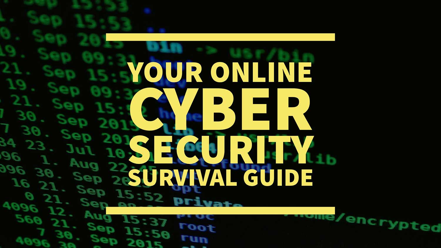 online-cyber-security-guide