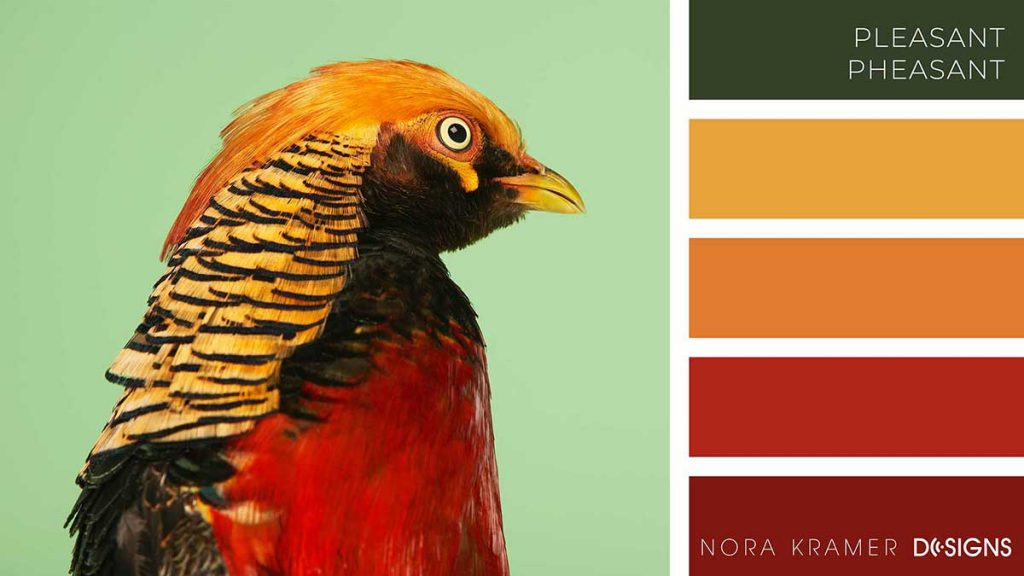 Pleasant Pheasant Color Palette